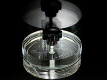 LP cleaner
